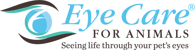 Eye Care For Animals San Diego